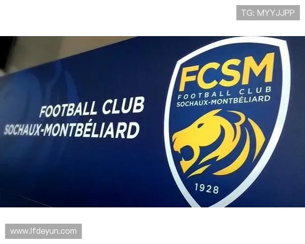 法甲外援适应性及对球队战绩的影响研究